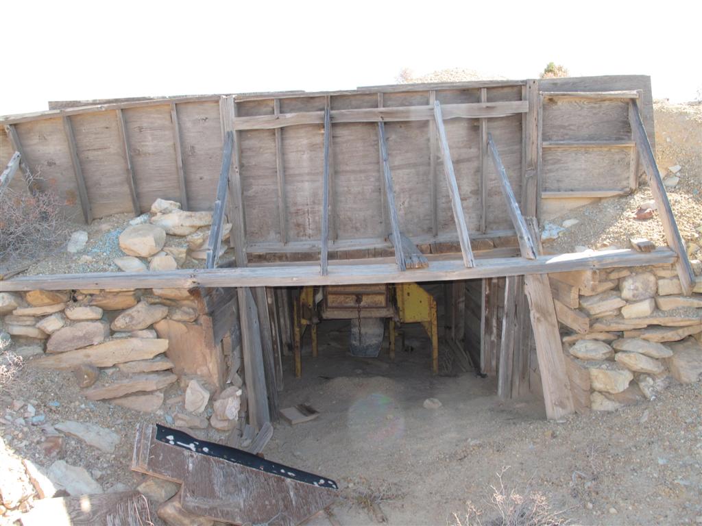 IMG_4376 (Large).JPG IMG_4376 (Large).JPG